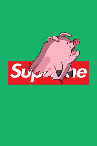 Supreme Pato