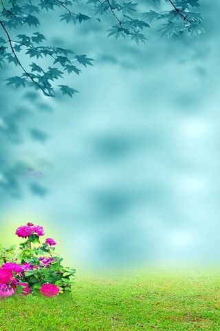 Fleur: A Blooming Serenity 🌸✨