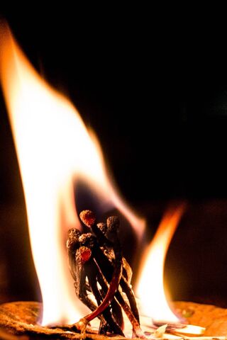Burning Desire