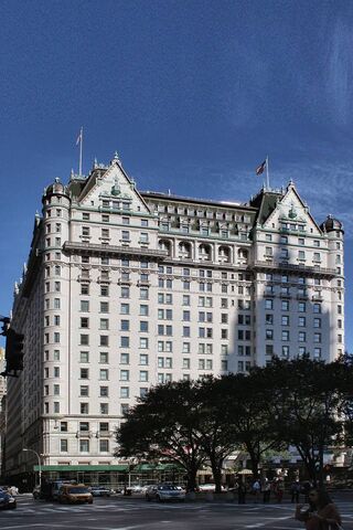 The Iconic Plaza: A New York Landmark 🏙️✨