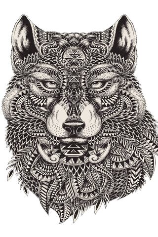 Wolf Art Design
