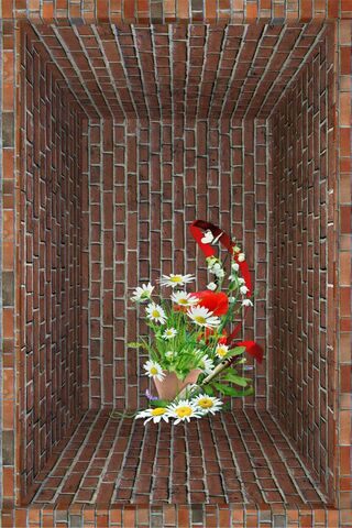 Blooming Beauty in a Brick Box 🌼🧱