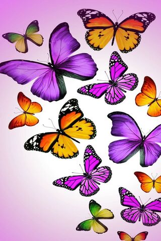 Butterfly Wallpaper - Download to your mobile from PHONEKY