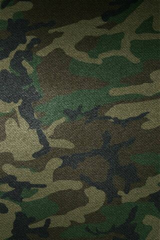 Camuflaje-Camouflage