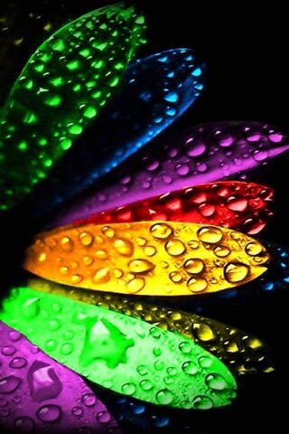 Vibrant Petals: Nature's Colorful Canvas 🌈💧
