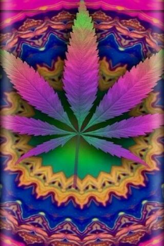 Psychedelic Leaf: A Col..