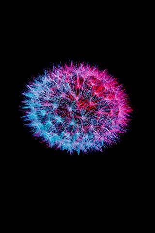 Electric Bloom: A Dance..