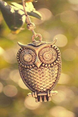 Whimsical Owl Charm 🦉✨