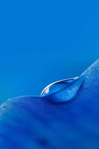 A Drop of Serenity: The..