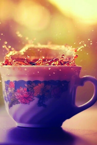 Splash of Joy: The Perf..