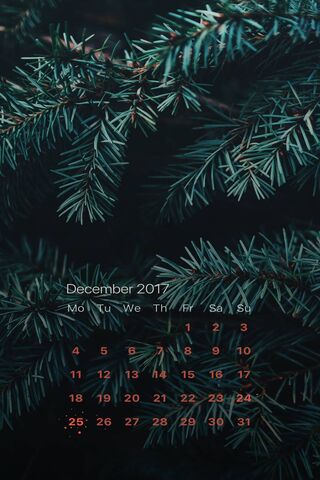 Emerald Embrace: A December to Remember 🌲✨