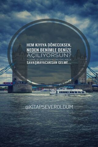 Waves of Curiosity 🌊📚