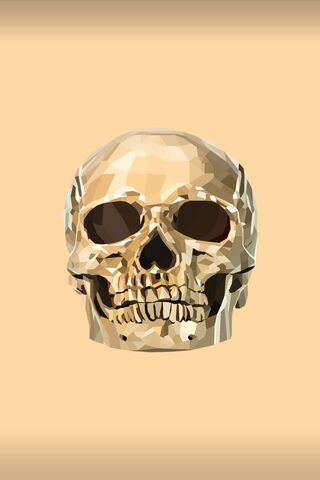 Geometric Elegance: The Skull