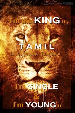 Roaring Independence: The Single King