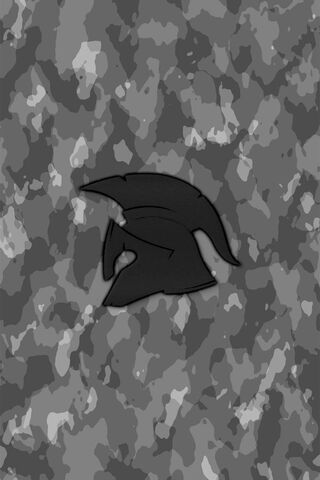 Spartan Shadows: The Art of Urban Warfare