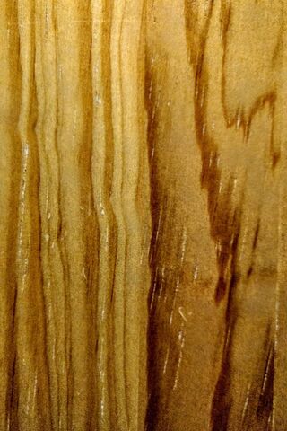 Nature's Canvas: The Beauty of Wood Grain 🌳✨