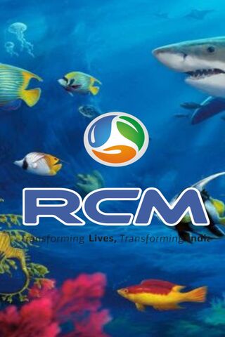 Rcm Business 2