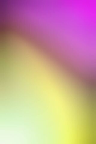 Vibrant Spectrum of Colors 🌈✨