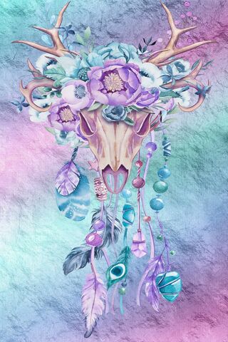 Whispers of the Dreamcatcher 🌙✨