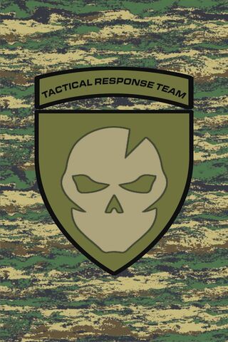 Stealth and Strategy: The Tactical Response Team