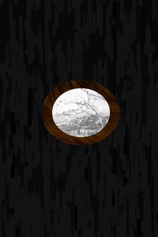 Coconut Wallpaper - Download to your mobile from PHONEKY