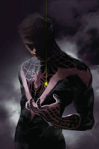 Web of Shadows: A Hero's Reflection