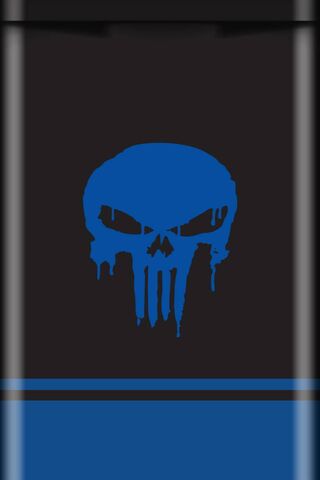 The Blue Fury: Hybrid Punisher Unleashed! 💥