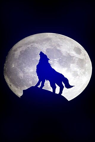 Howling at the Wolf Moon 🌕🐺