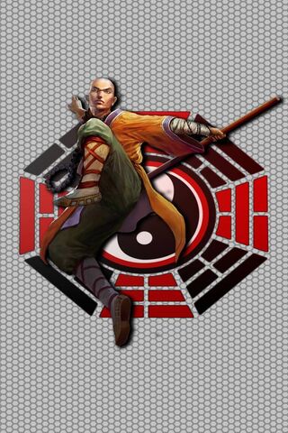 The Guardian of Balance: Warrior Monk in Action