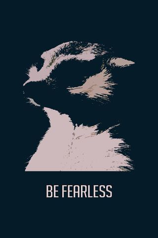 Fearless Wallpapers  Top Free Fearless Backgrounds  WallpaperAccess