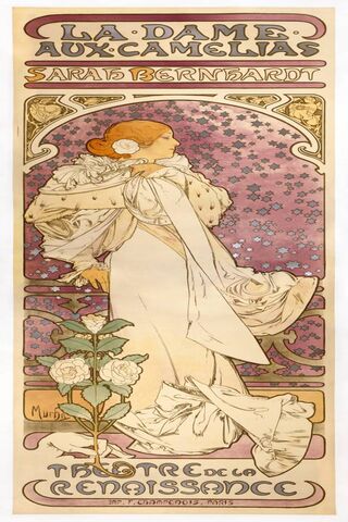 Elegance in Bloom: The Lady of the Camellias 🌸