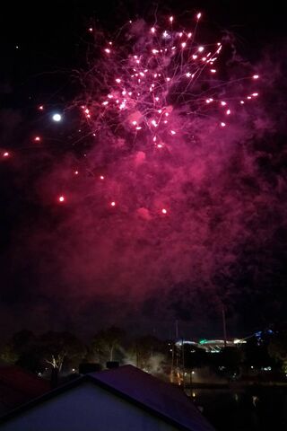 Celestial Celebration: A Night of Fireworks 🎆🌌