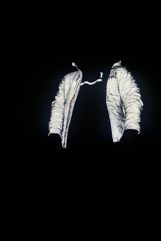 Illuminated Presence