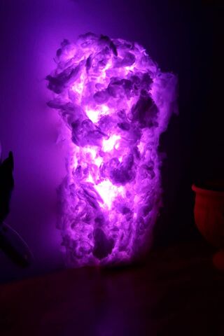 紫光