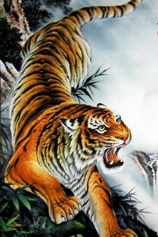 Tiger HD Wallpaper Download