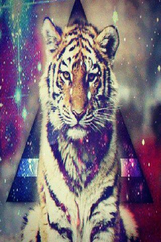 Cosmic Cool: The Hipste..