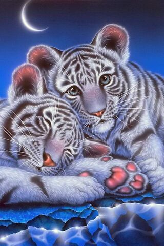 Baby Tigers