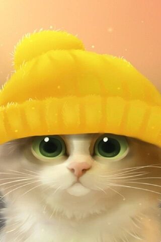 Adorable Feline Fashion..