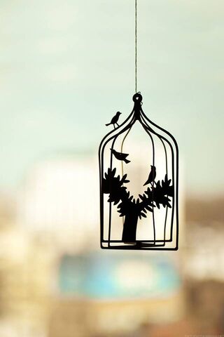 Phoneky افتقدك Hd خلفيات
