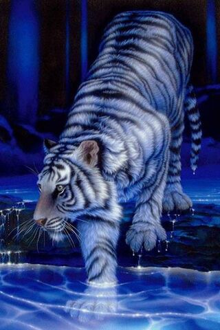 Mystical Stripes: The E..