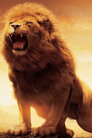 Majestic Roar of the Ki..