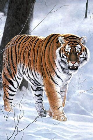 Majestic Stripes: The W..