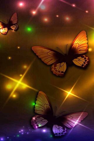 Butterflys