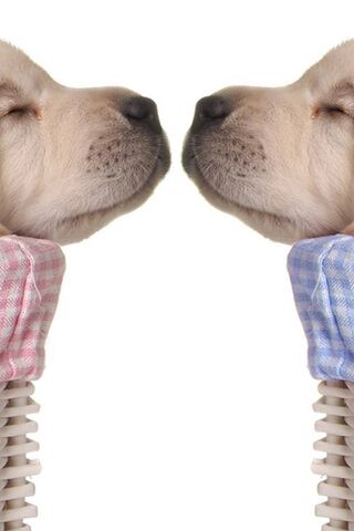 Adorable Snuggle Buddie..