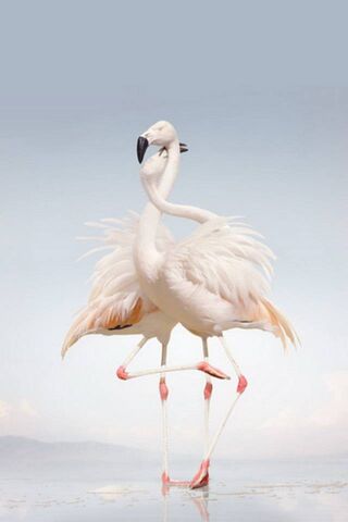 à¤¹ à¤¸ à¤ªà¤ à¤· à¤µ à¤²à¤ª à¤ªà¤° phoneky à¤¸ à¤à¤ªà¤¨ à¤® à¤¬ à¤à¤² à¤ªà¤° à¤¡ à¤à¤¨à¤² à¤¡ à¤à¤° à¤¹ à¤¸ à¤ªà¤ à¤· à¤µ à¤²à¤ª à¤ªà¤° phoneky à¤¸ à¤à¤ªà¤¨ à¤® à¤¬ à¤à¤² à¤ªà¤° à¤¡ à¤à¤¨à¤² à¤¡ à¤à¤°