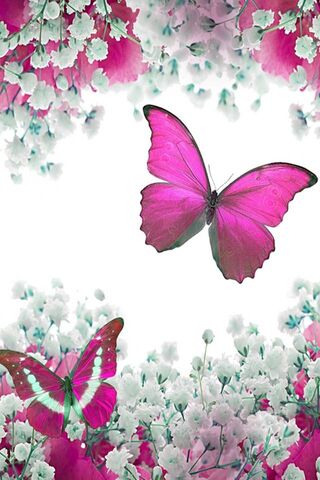 Whimsical Dance of Pink..