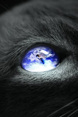 Cosmic Gaze: The Earth in a Cat's Eye 🌍🐾