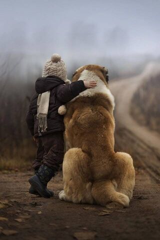 Friends