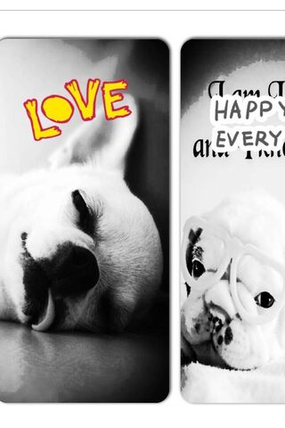 Puppy Love: A Day in the Life