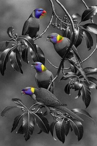 Colorful Conversations ..